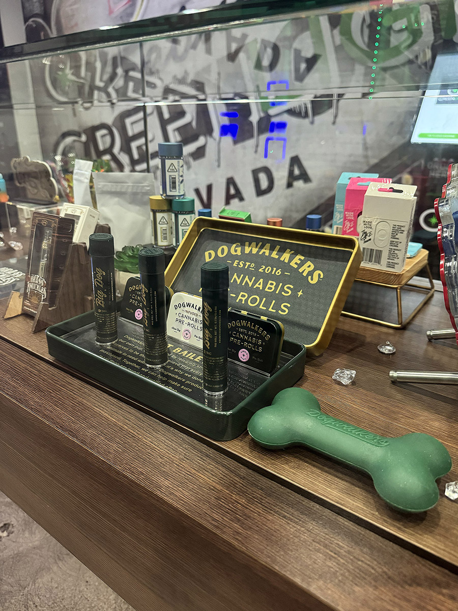 Greenlight Paradise